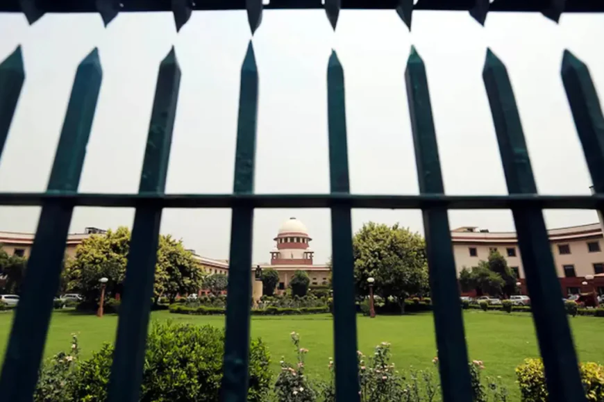 Mahkeme Önünde Şok Olay: Avukat Ayakkabı Fırlattı