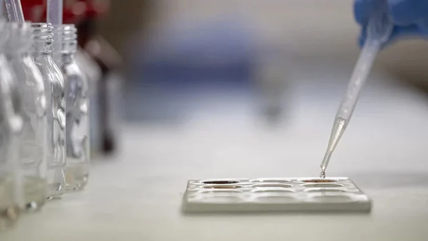 Ünlülerin Uyuşturucu Soruşturmasında 7 Şüphelinin Test Sonucu Belli Oldu